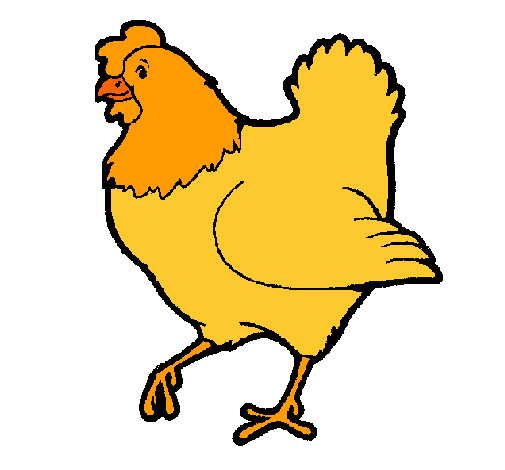 Gallina