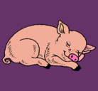 Dibujo Cerdo durmiendo pintado por elencaballos