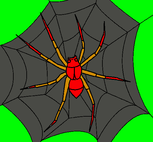 Araña