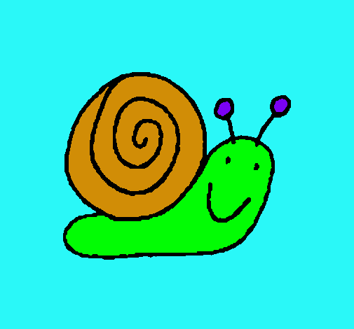 Caracol 4