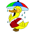Dibujo Pato bajo la lluvia pintado por mgita
