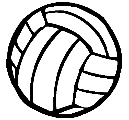 Pelota de voleibol