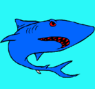 Dibujo Tiburón pintado por 2004-2011