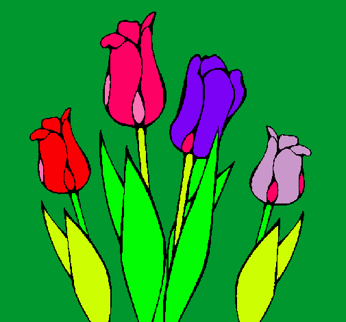 Tulipanes