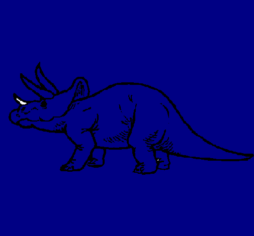 Triceratops