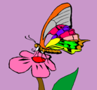 Dibujo Mariposa en flor pintado por prisesa