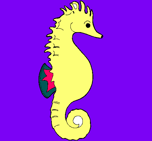 Caballito de mar