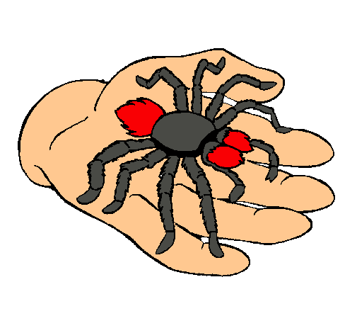 Tarántula