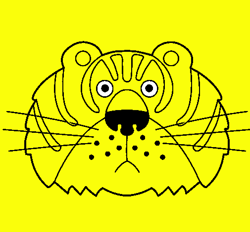 Tigre III