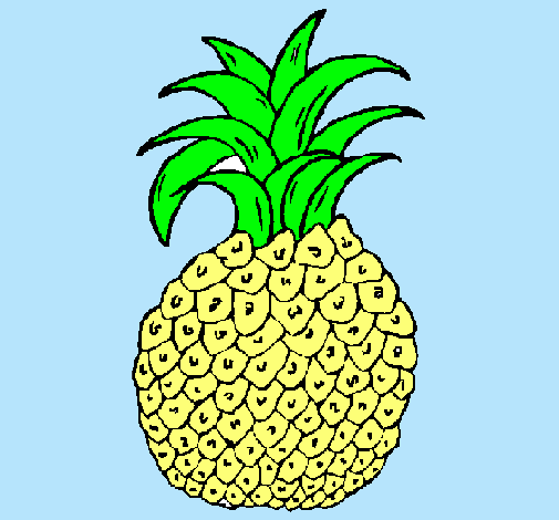 piña