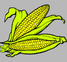 Dibujo Mazorca de maíz pintado por carolina301