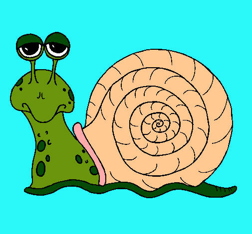 Caracol