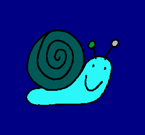 Caracol 4