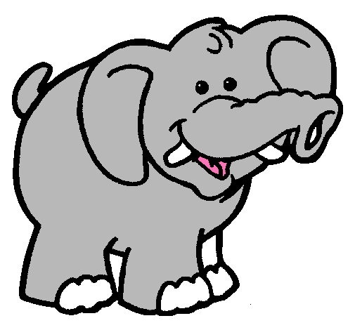 Elefante