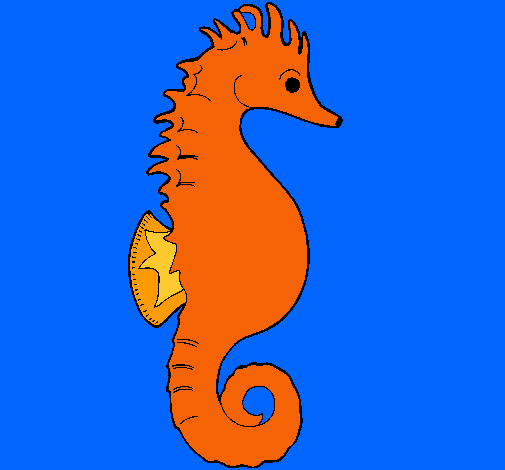 Caballito de mar