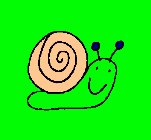 Caracol 4