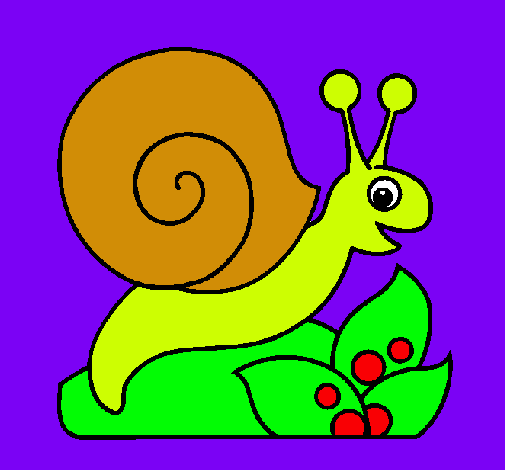 Caracol