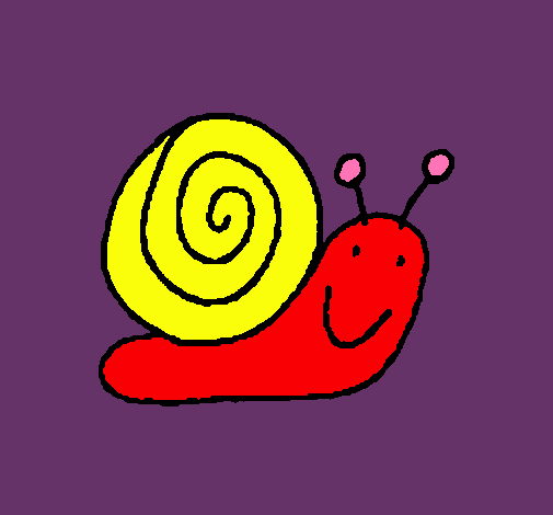 Caracol 4