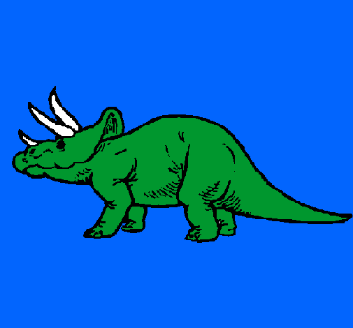 Triceratops