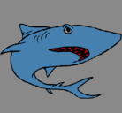 Dibujo Tiburón pintado por alesix