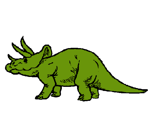 Triceratops