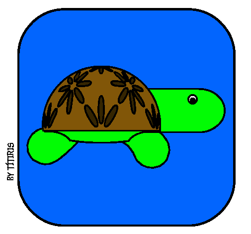 Tortuga 4