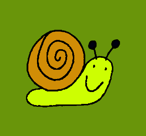 Caracol 4