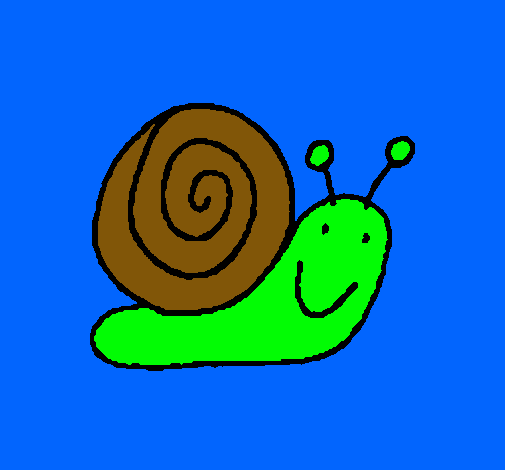 Caracol 4