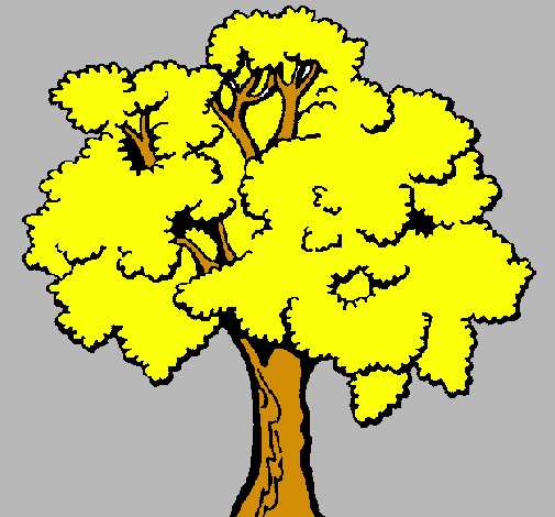 Árbol