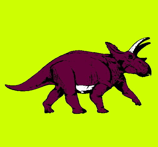 Triceratops