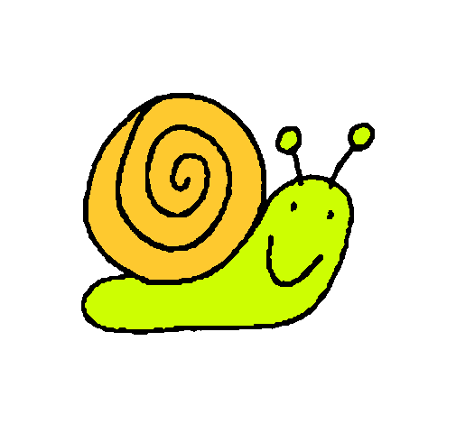 Caracol 4