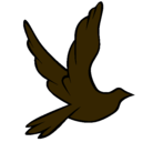 Dibujo Paloma de la paz al vuelo pintado por ave4