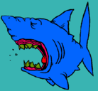 Dibujo Tiburón pintado por mochito