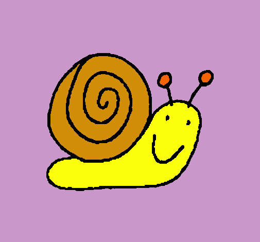 Caracol 4