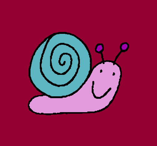 Caracol 4