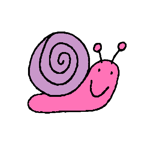 Caracol 4