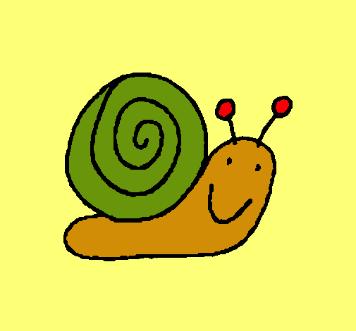 Caracol 4