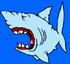 Dibujo Tiburón pintado por mando