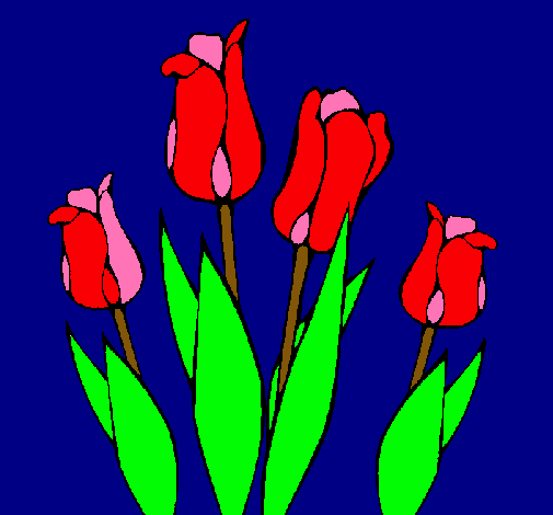 Tulipanes