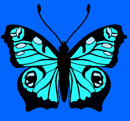 Mariposa 