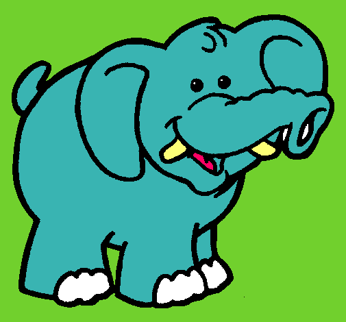 Elefante