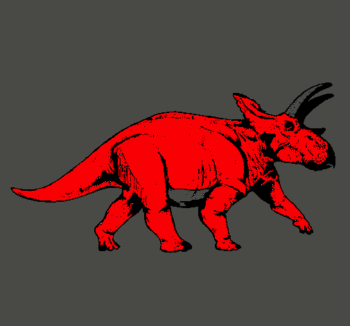 Triceratops