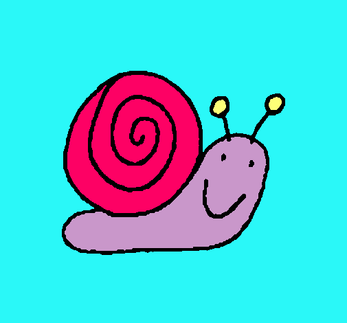 Caracol 4