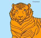 Dibujo Tigre pintado por victor1984
