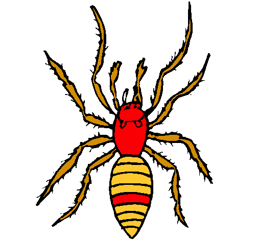 Araña tigre