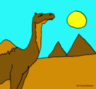 Dibujo Camello pintado por leomiguel