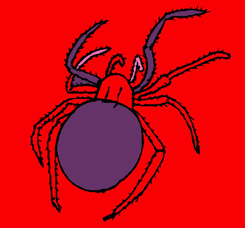 Araña venenosa