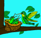 Dibujo Familia colibrí pintado por SamanthaSS