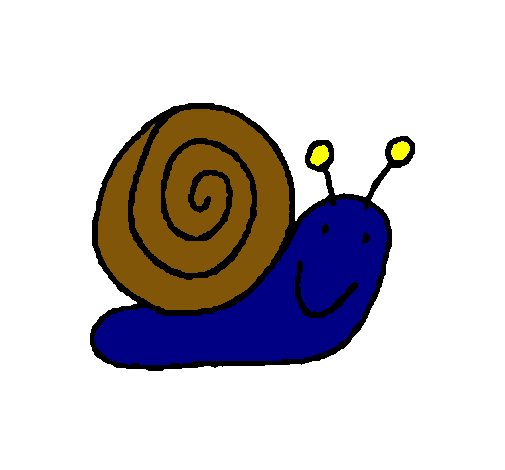 Caracol 4