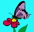 Dibujo Mariposa en una flor pintado por erika10